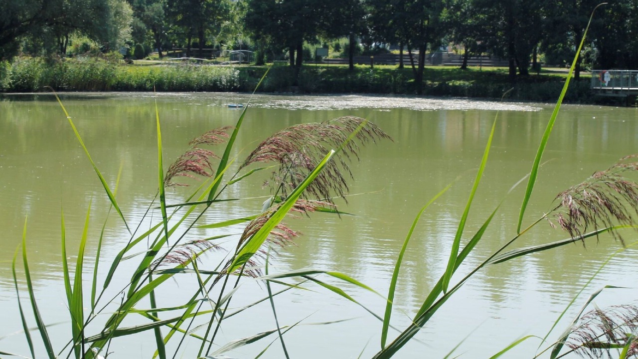 Photo of Outdoor in Bad Goegging
