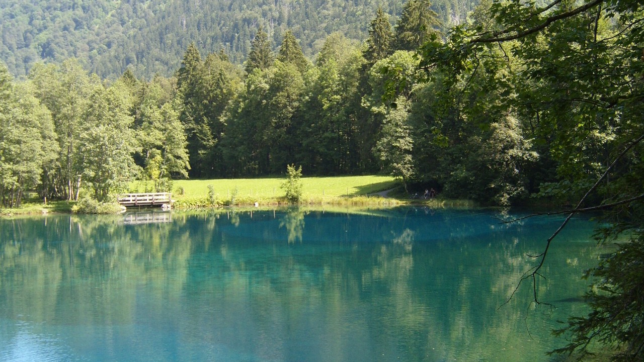 Photo of Others in Stein