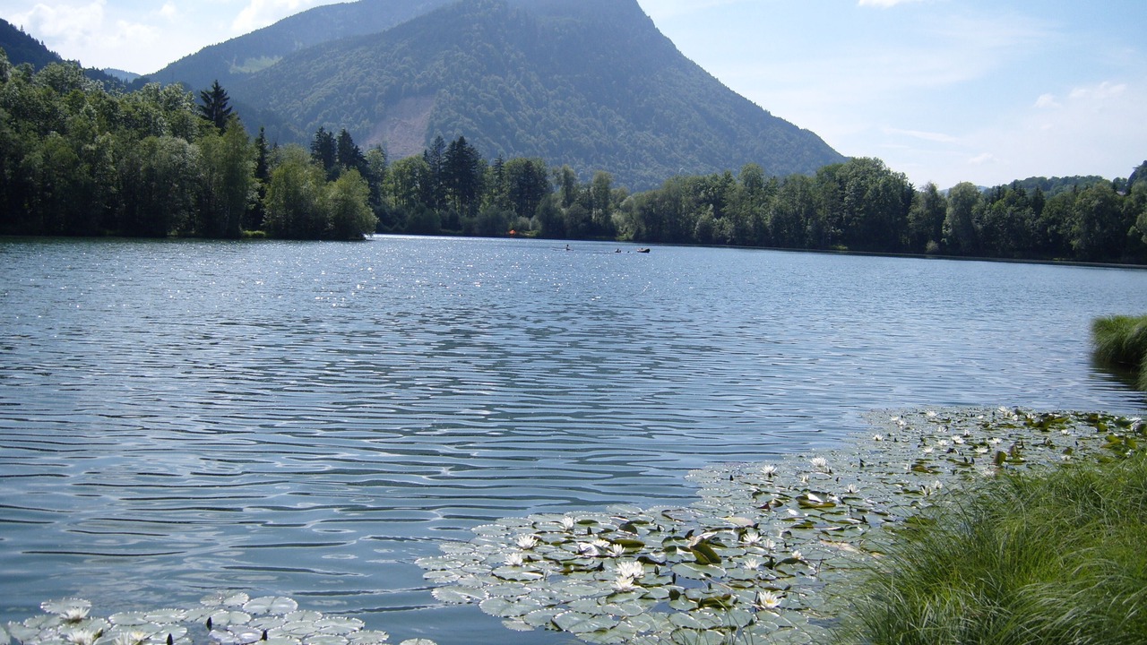 Photo of Others in Stein