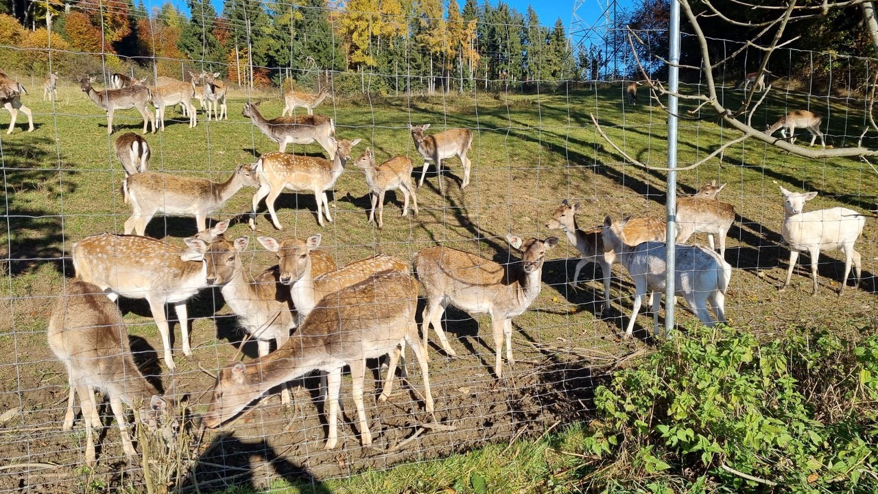 Photo of Outdoor in Starnberg