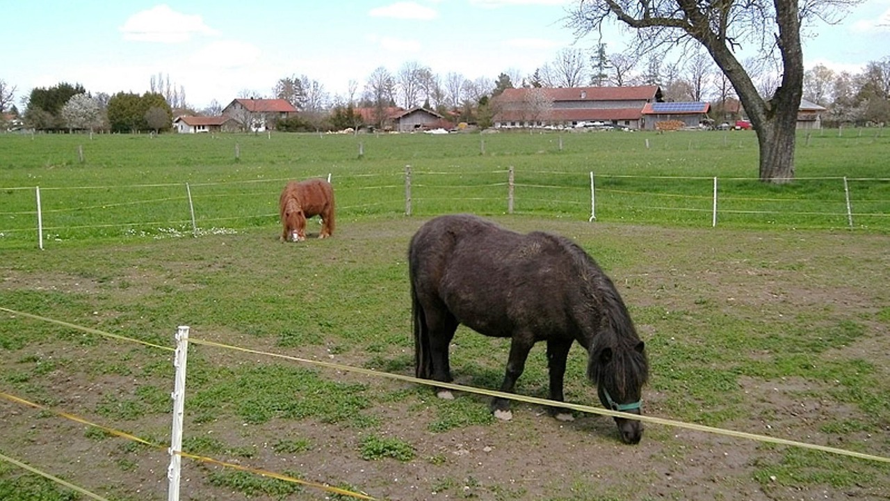 Photo of Outdoor in Luft