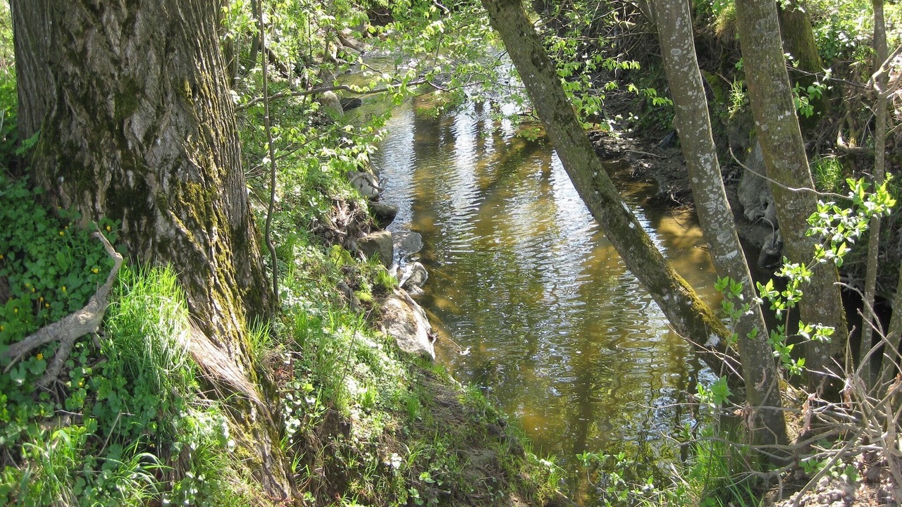 Photo of Others in Rotthalmuenster