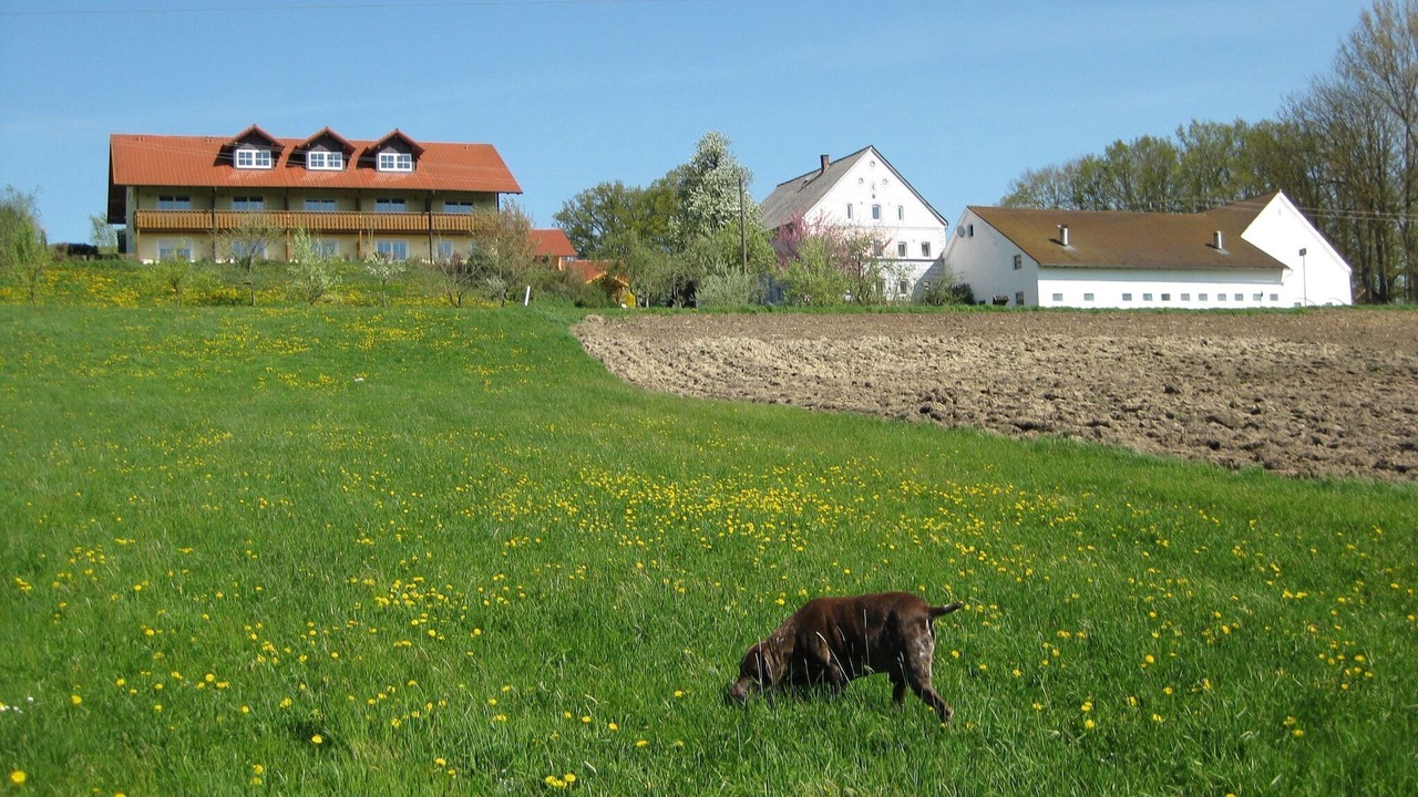 Photo of Outdoor in Rotthalmuenster
