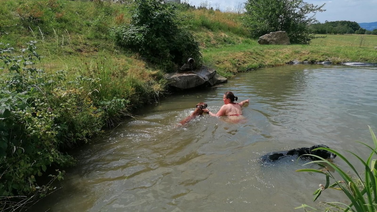 Photo of Others in Schofweg
