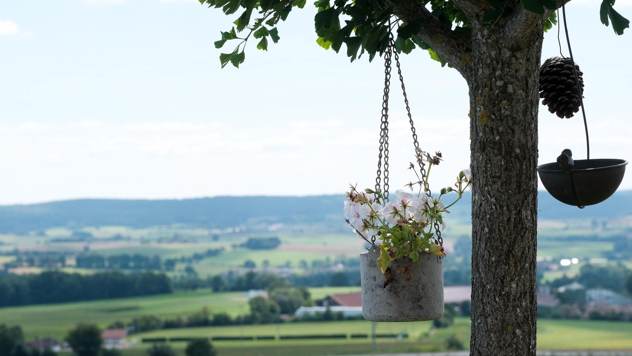 Photo of Others in Oberleichtersbach