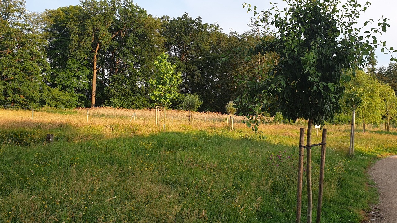 Photo of Outdoor in Bad Rothenfelde