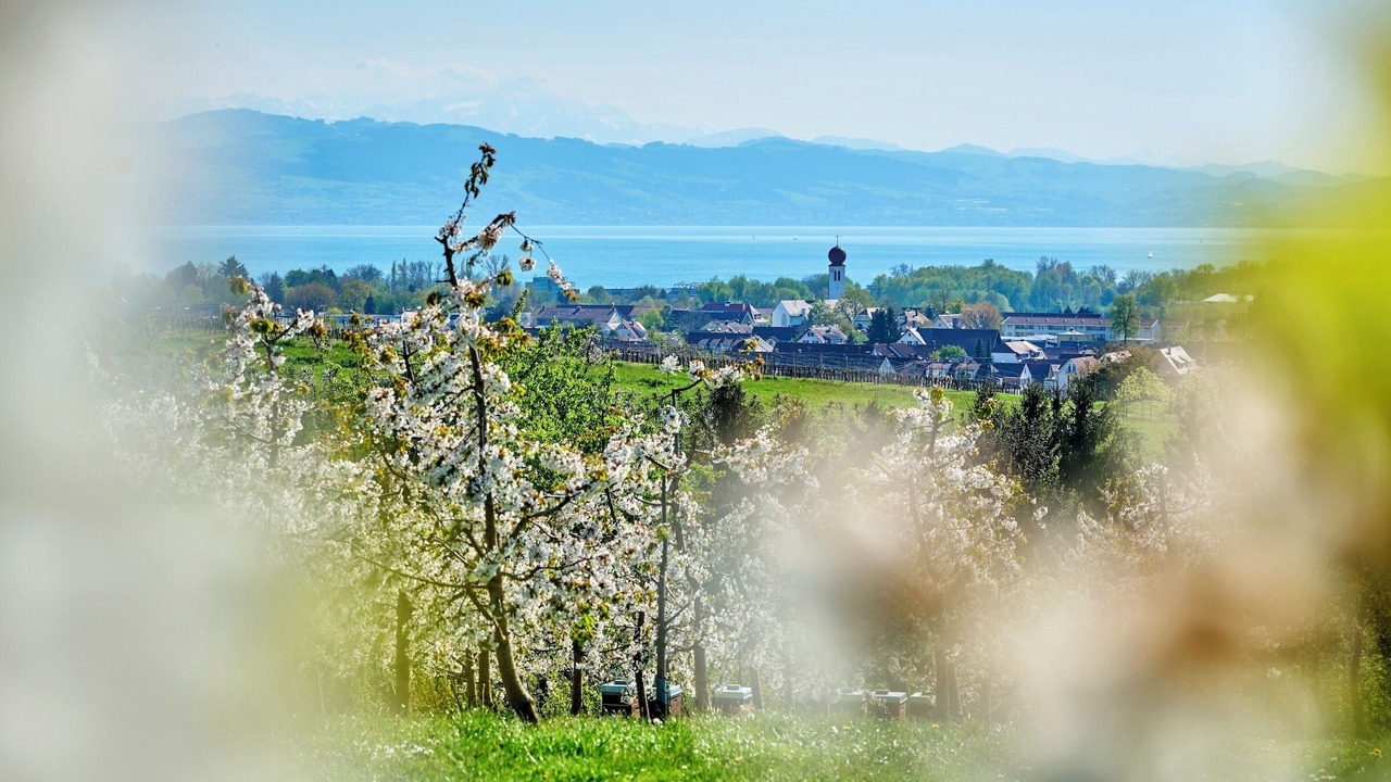 Photo of Others in Kressbronn