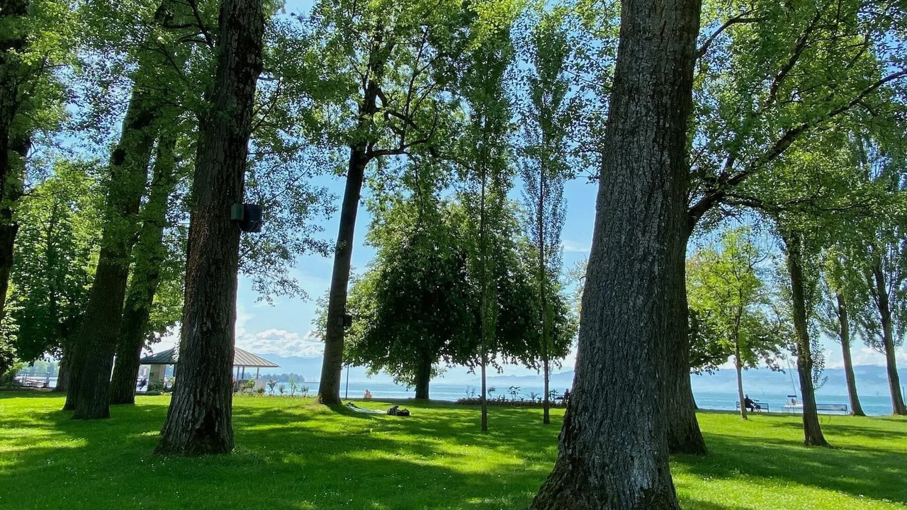 Photo of Outdoor in Kressbronn