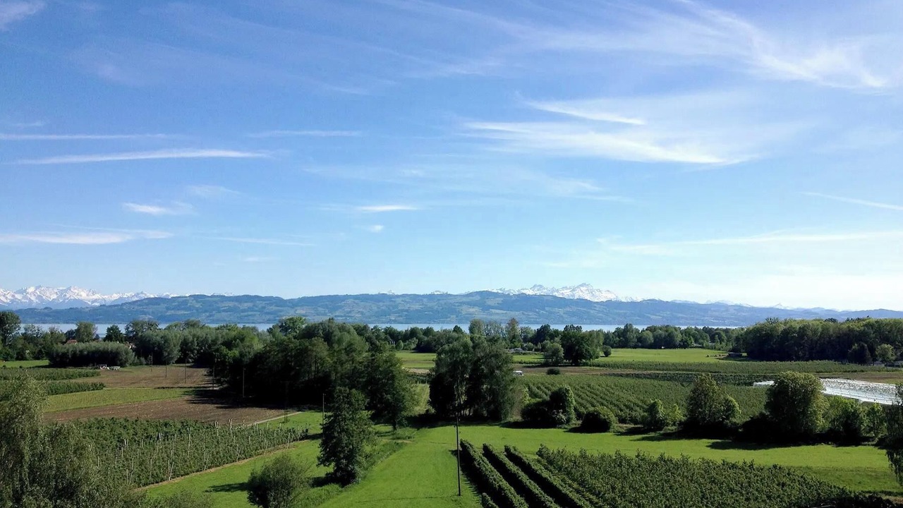 Photo of Others in Kressbronn