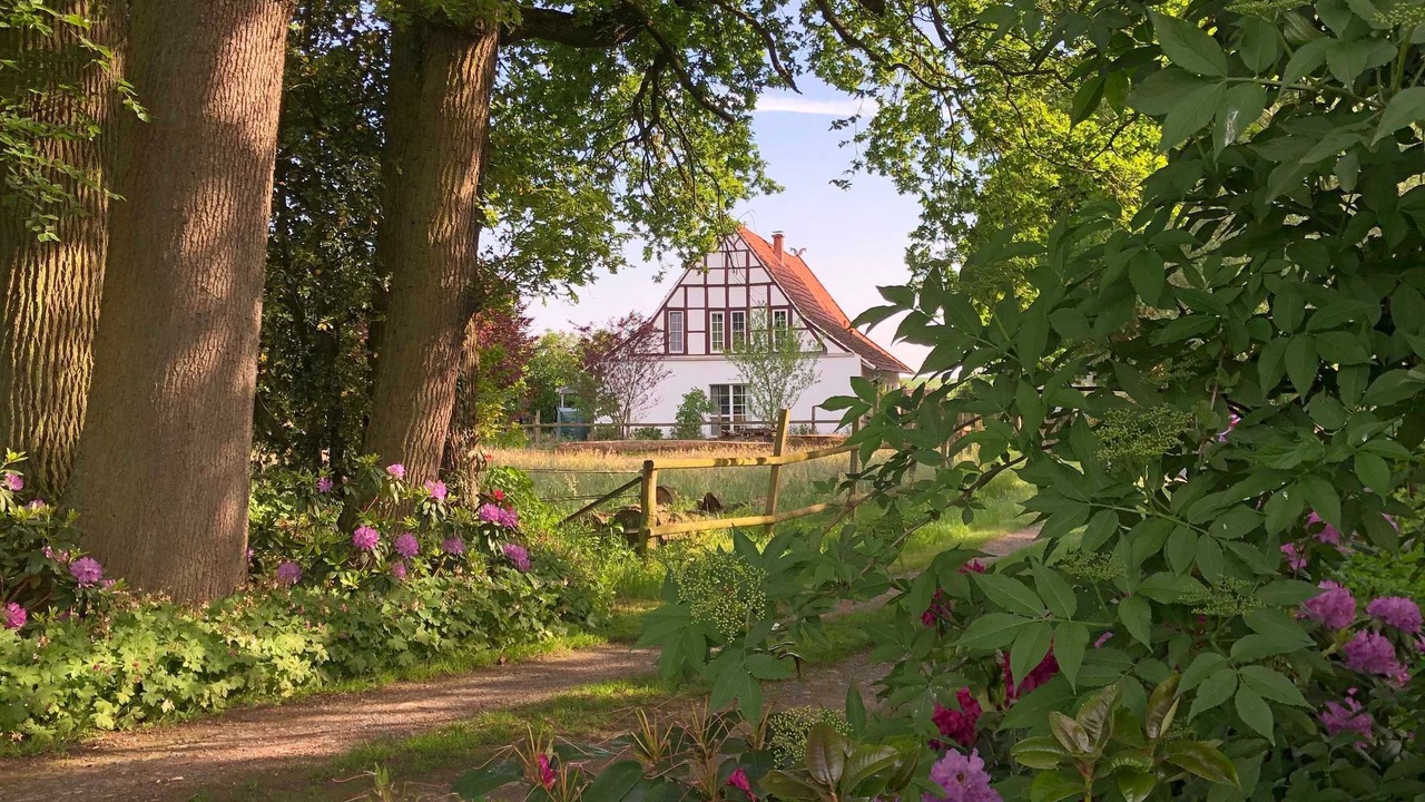 Photo of Outdoor in Dorenthe