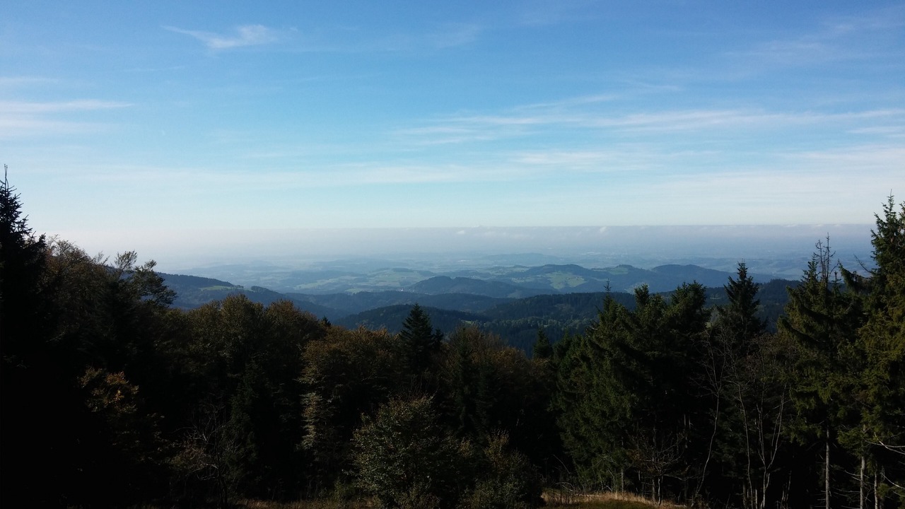 Photo of Others in Sankt Englmar