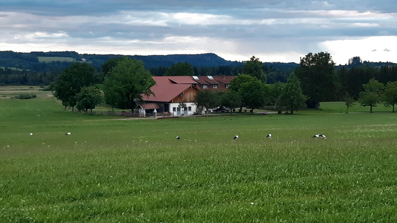 Photo of Others in Isny im Allgaeu