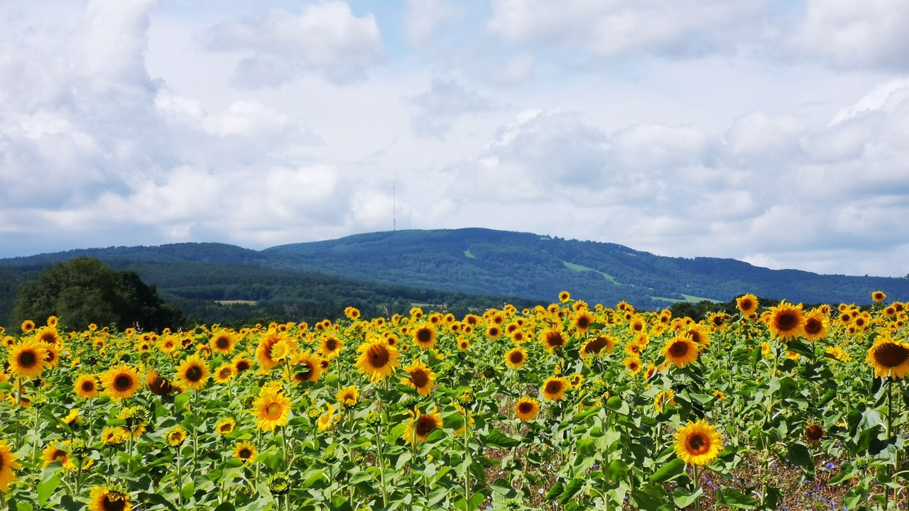 Photo of Outdoor in Haselbach in der Rhon