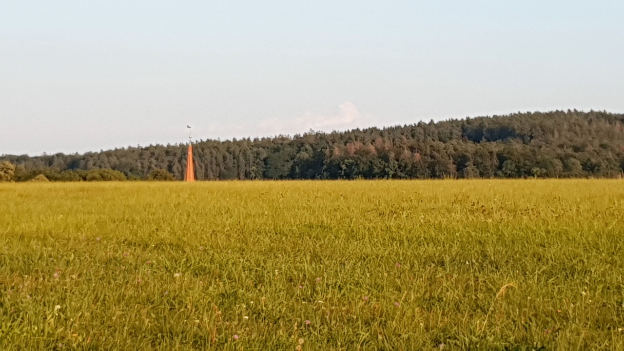 Photo of Others in Lauf an der Pegnitz