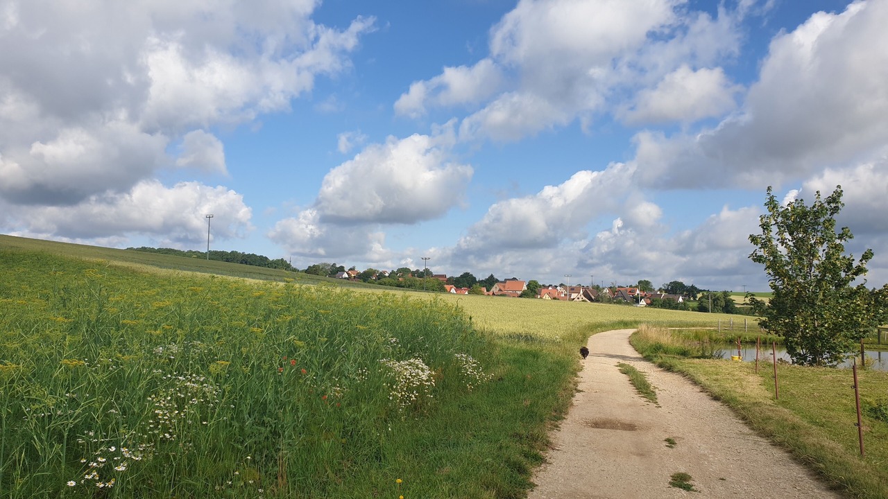 Photo of Outdoor in Lauf an der Pegnitz