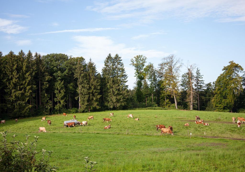 Photo of Others in Muensing