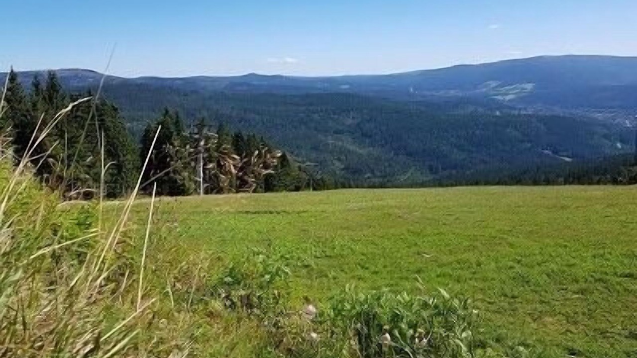 Photo of Outdoor in Kirchberg i.Wald