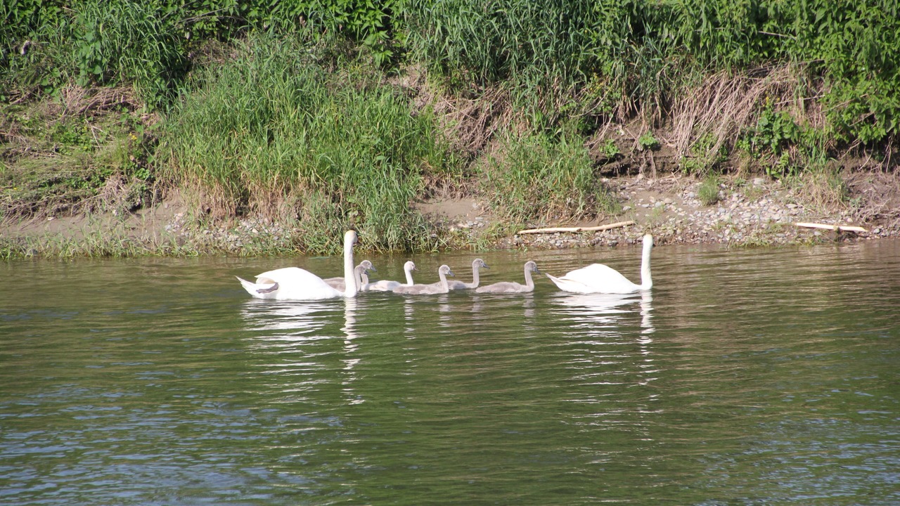 Photo of Outdoor in Donauwoerth