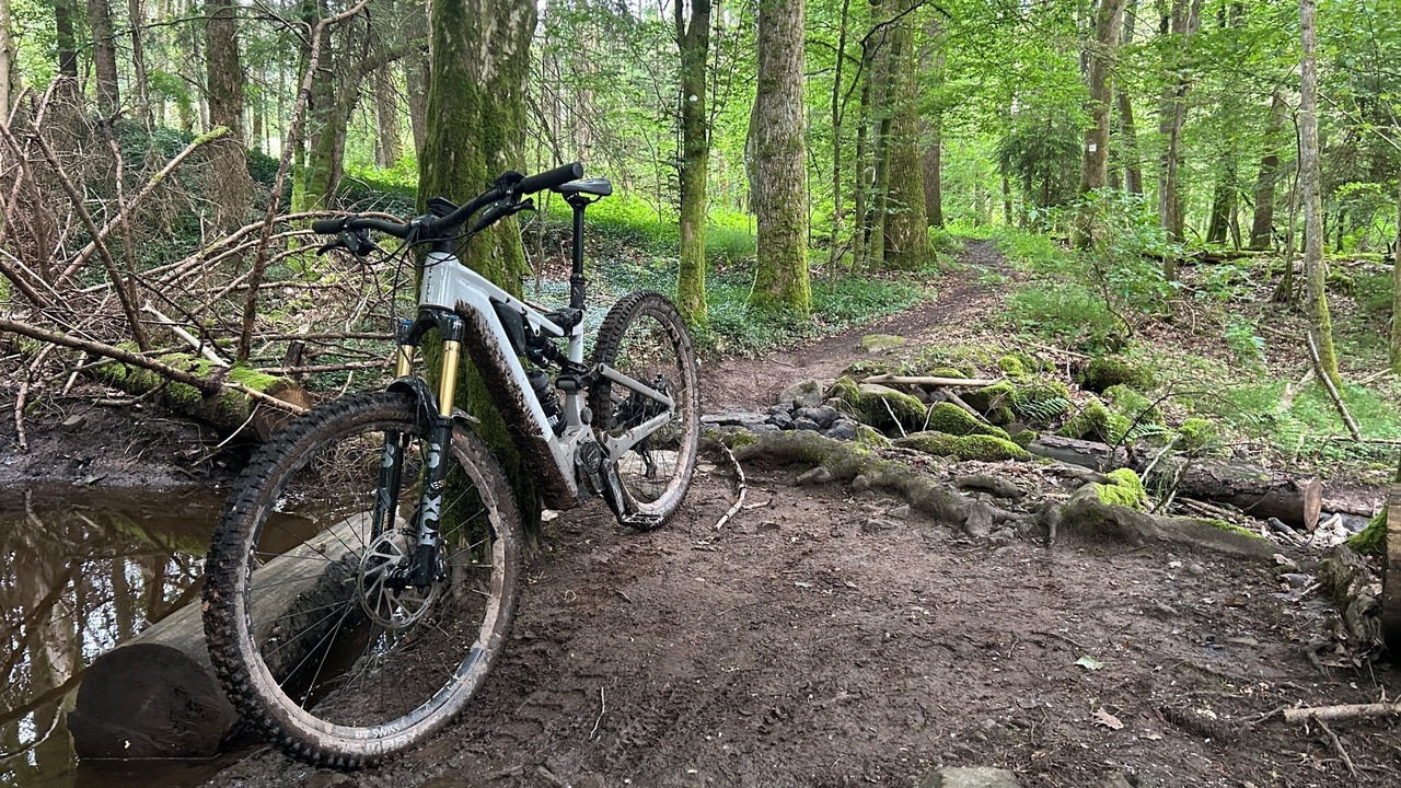 Photo of Others in Riedenberg