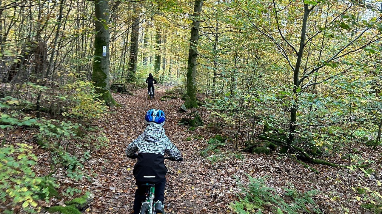 Photo of Others in Riedenberg