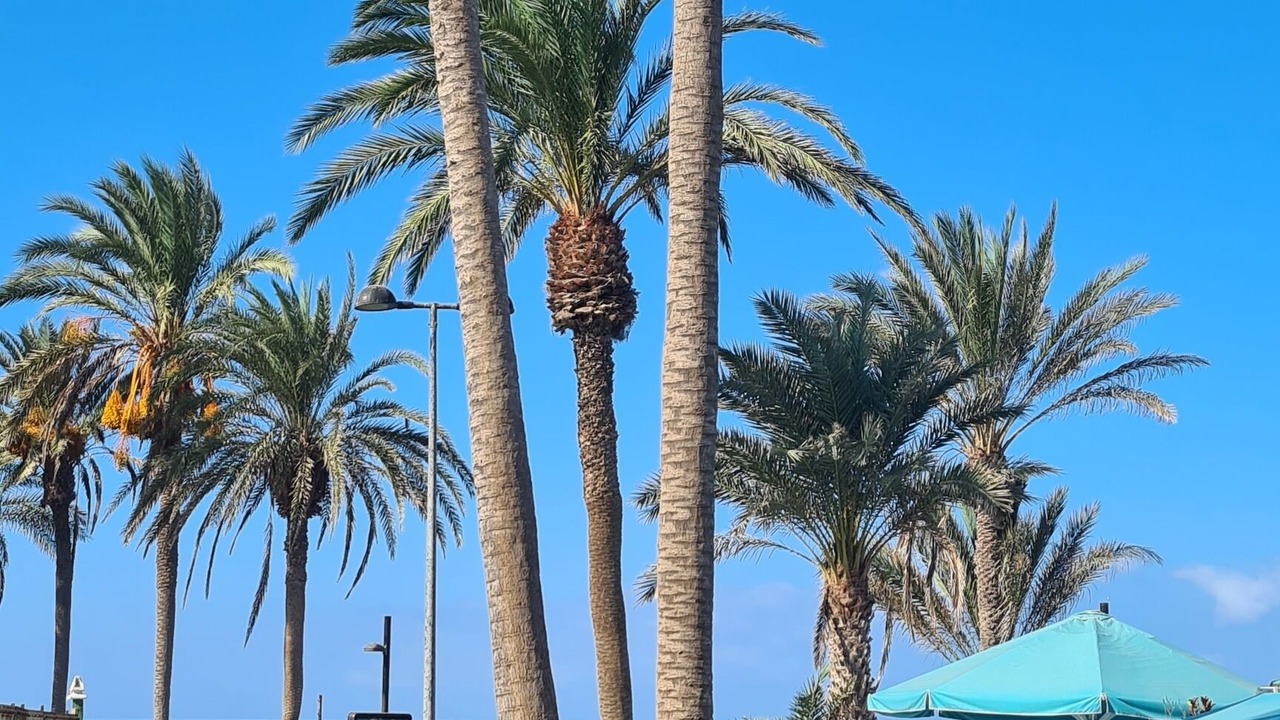 Photo of Outdoor in Playa Paraiso