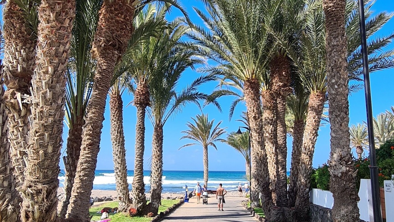 Photo of Others in Playa Paraiso