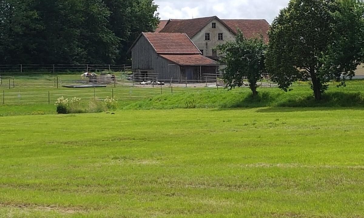 Photo of Outdoor in Roetz