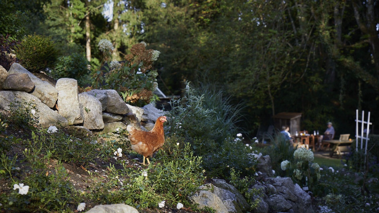 Photo of Outdoor in Morlbach
