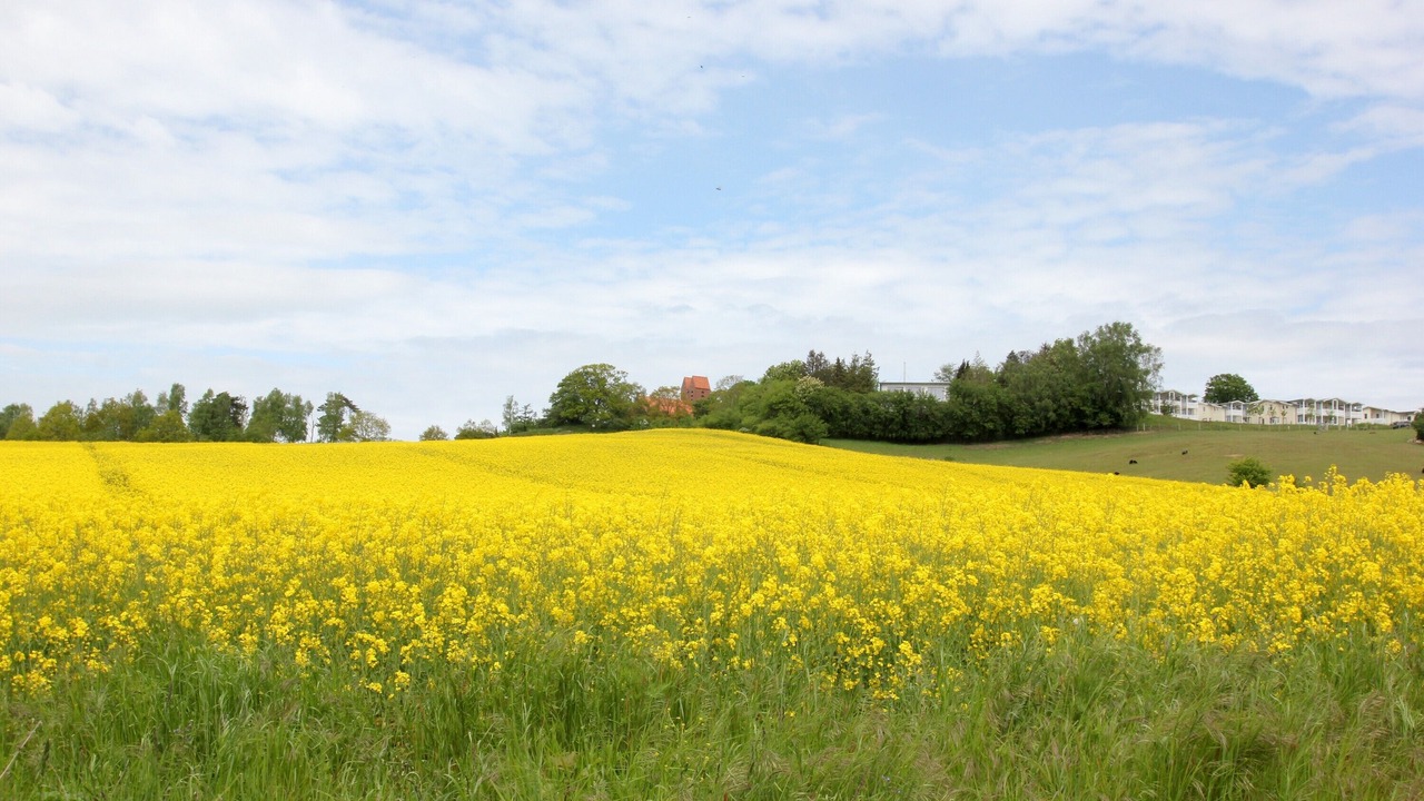 Photo of Others in Gohren