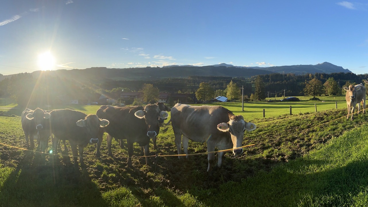 Photo of Others in Oy-Mittelberg