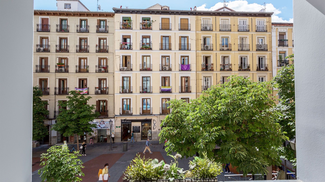 Photo of Outdoor in Justicia