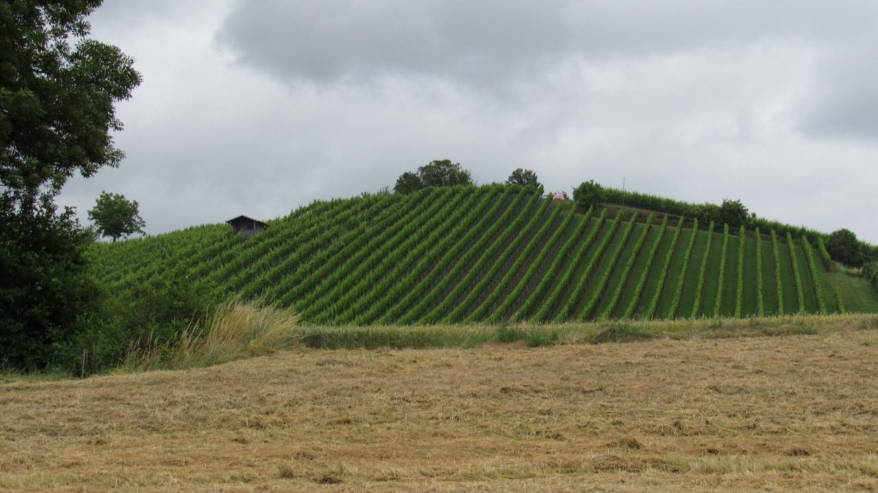Photo of Others in Oberschwappach