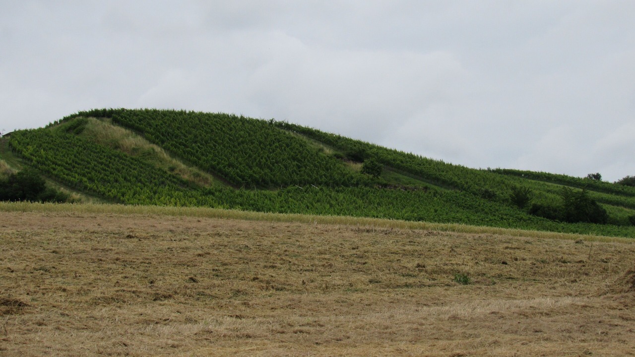 Photo of Others in Oberschwappach