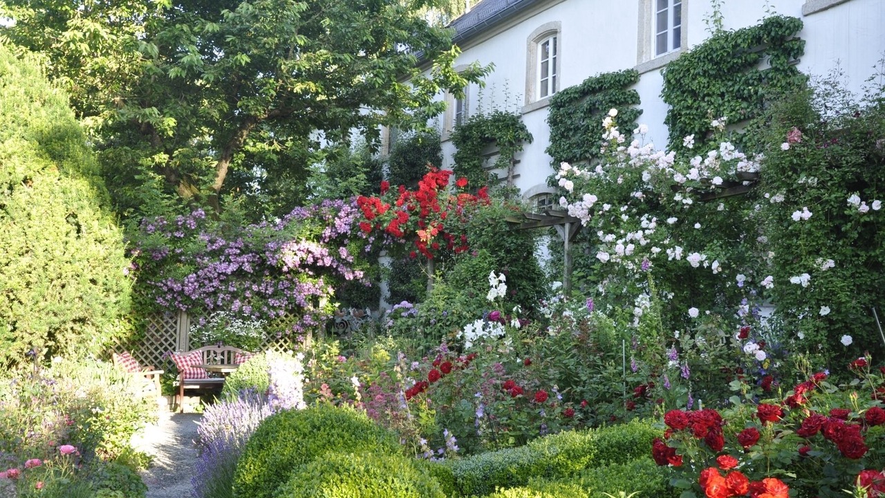 Photo of Outdoor in Berg