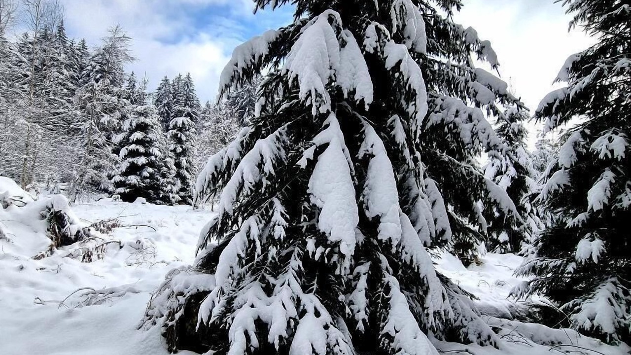 Photo of Outdoor in Riedlhutte