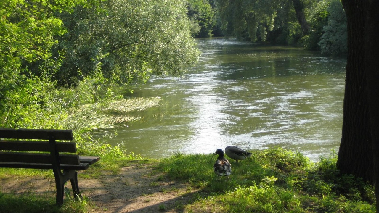 Photo of Outdoor in Furstenfeldbruck District