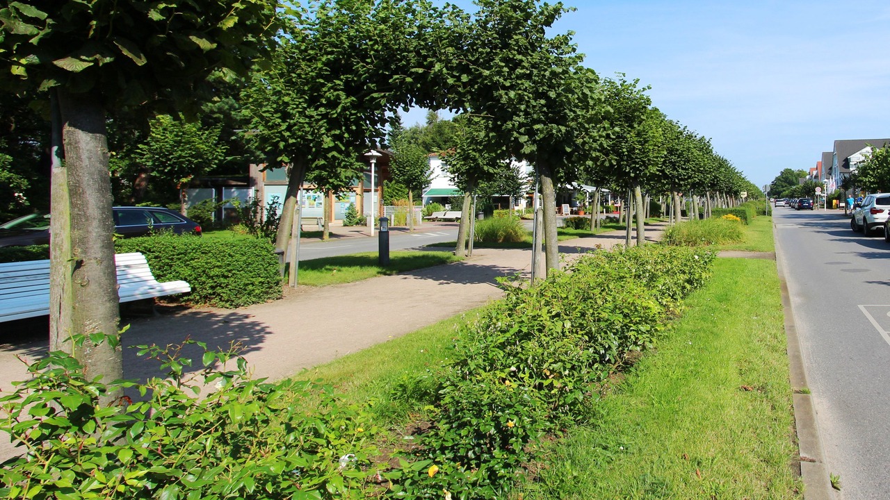Photo of Outdoor in Ostseebad Baabe
