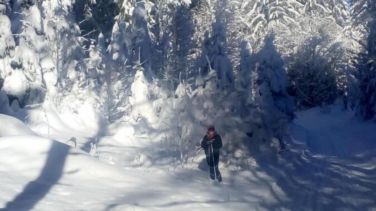 Photo of Others in Freyung