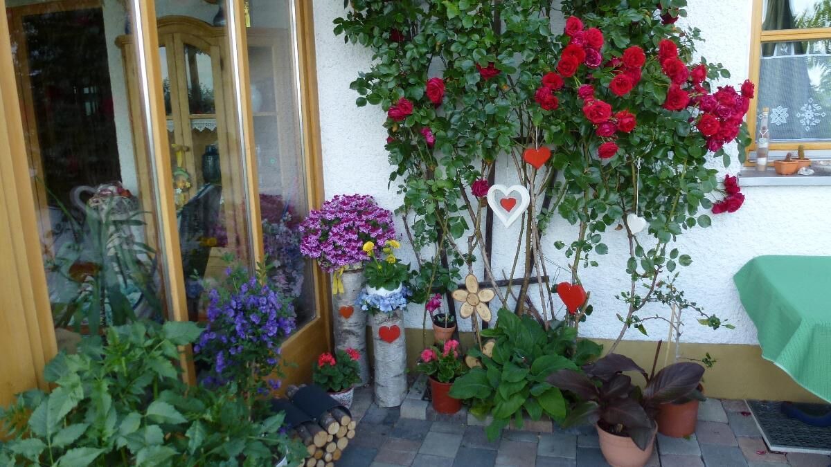 Photo of Outdoor in Freyung