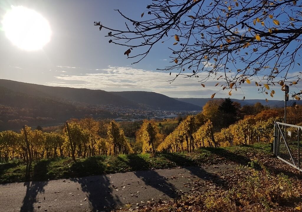 Photo of Outdoor in Buergstadt
