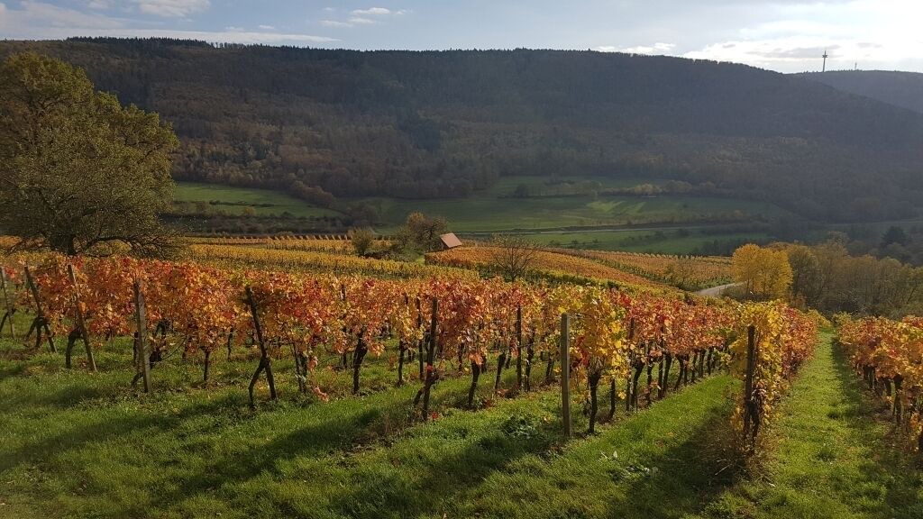 Photo of Outdoor in Buergstadt