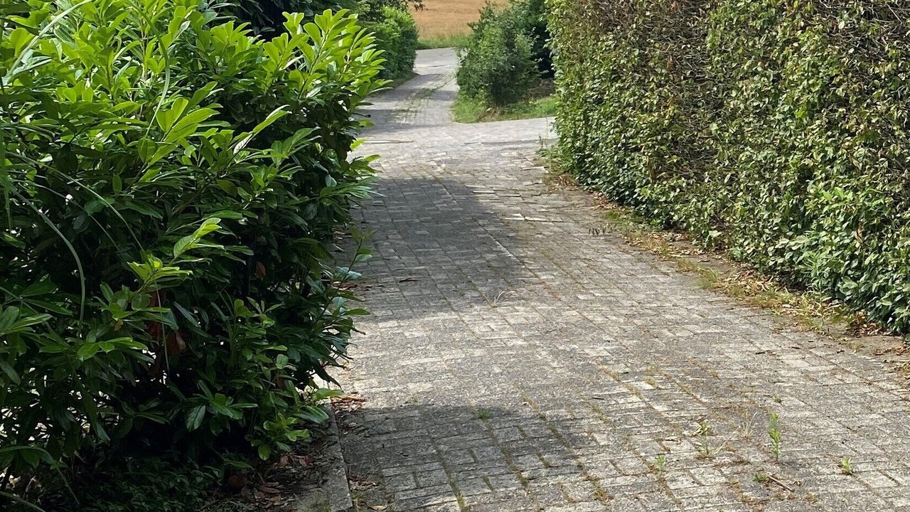 Photo of Outdoor in Bad Bentheim