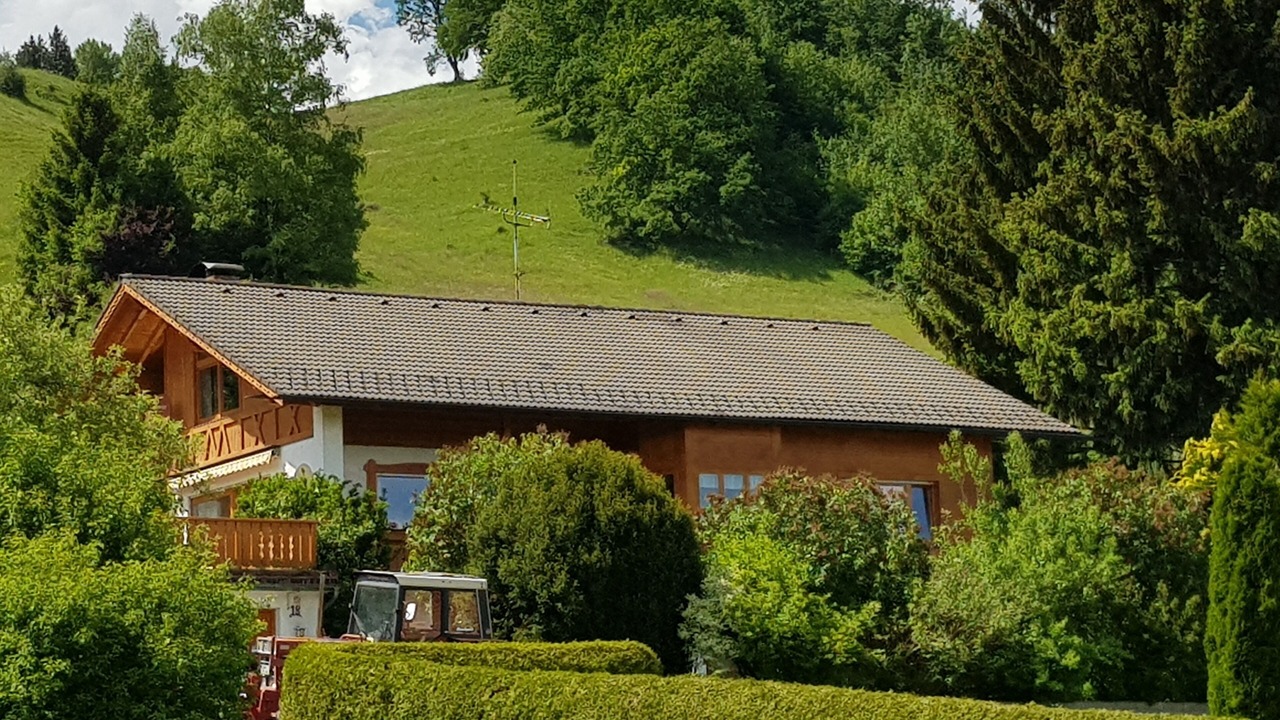 Photo of Outdoor in Peiting