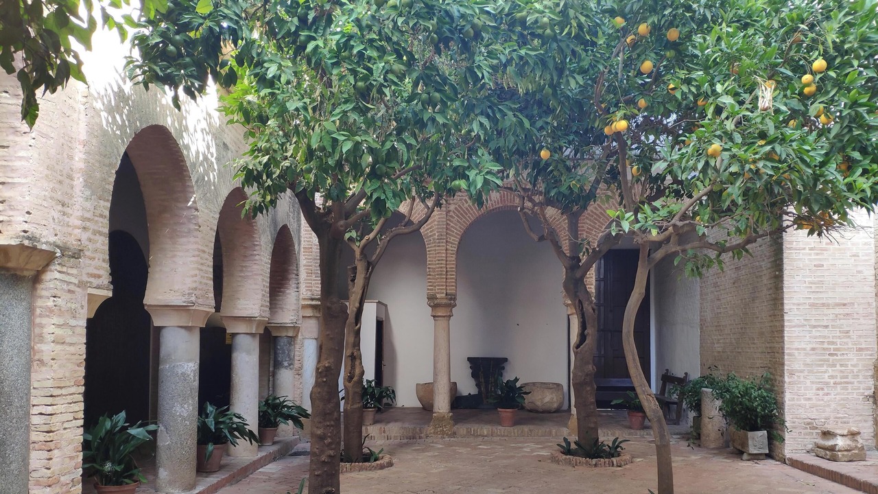 Photo of Patio Balcony in Carmona