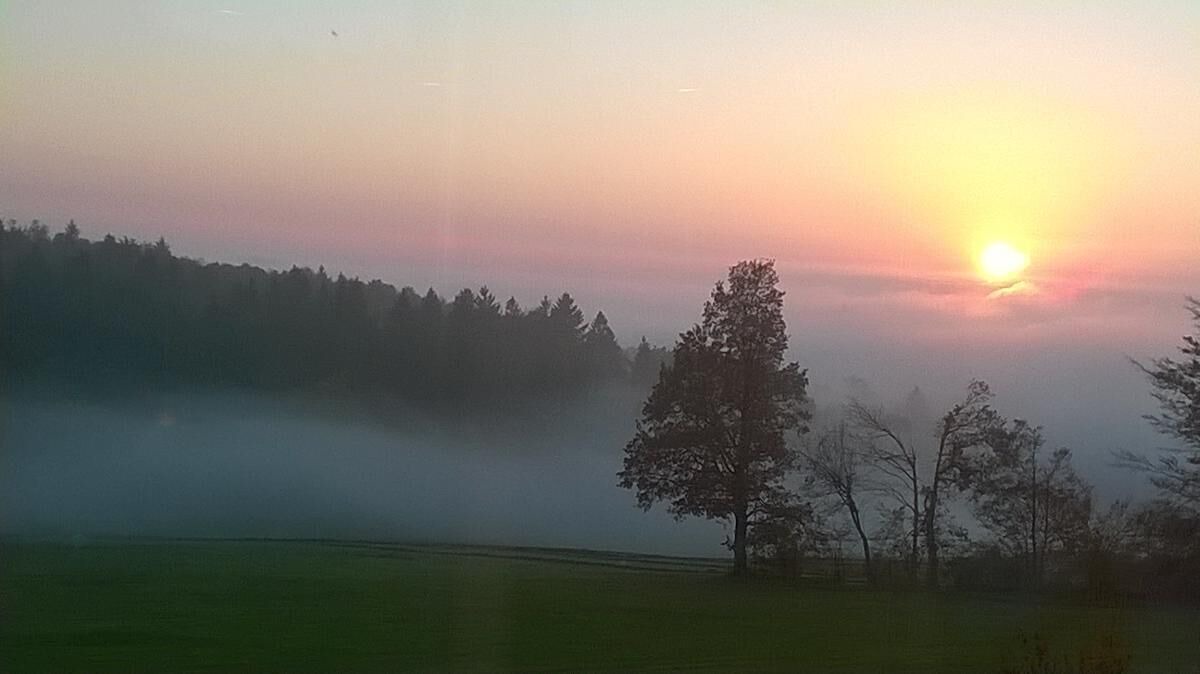 Photo of Others in Hauzenberg