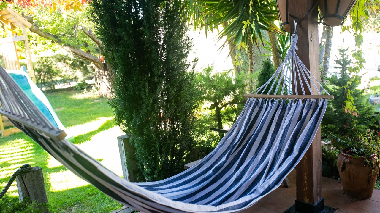 Photo of Outdoor in Cehegin