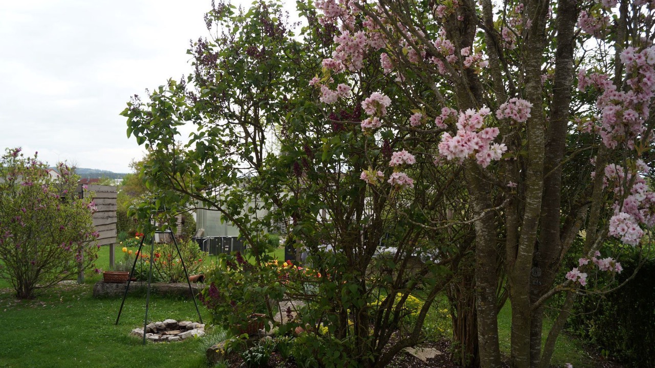 Photo of Outdoor in Dinkelsbuehl