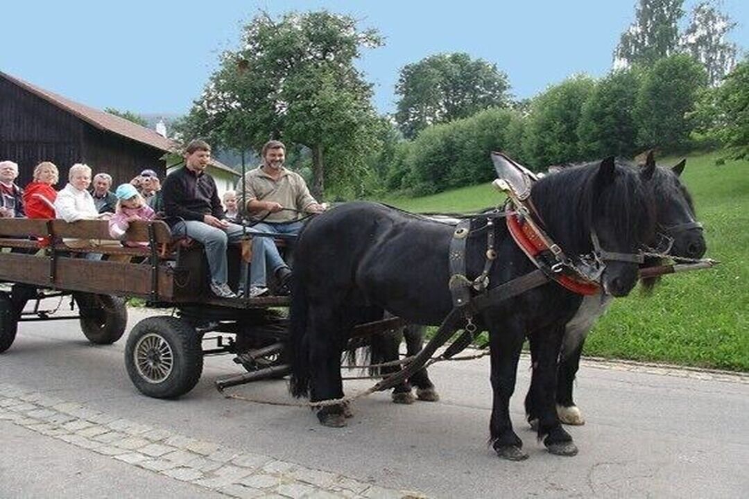 Photo of Others in Lindenau