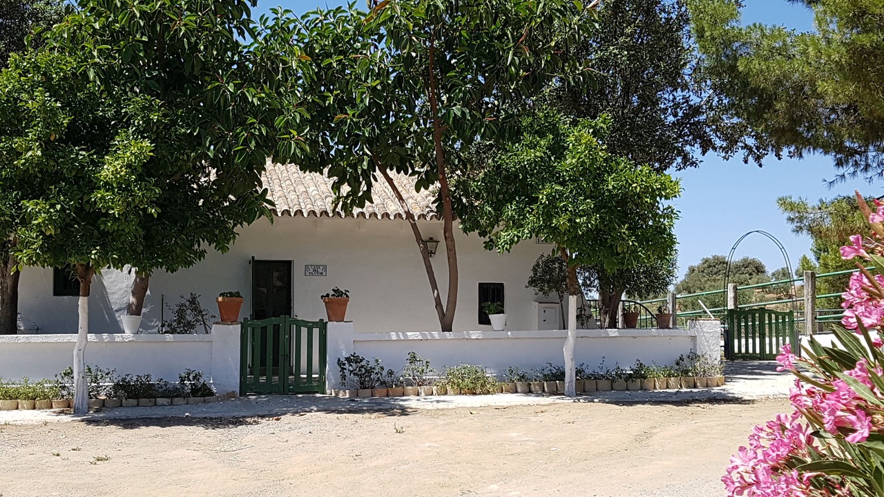Photo of Outdoor in Puerto Serrano