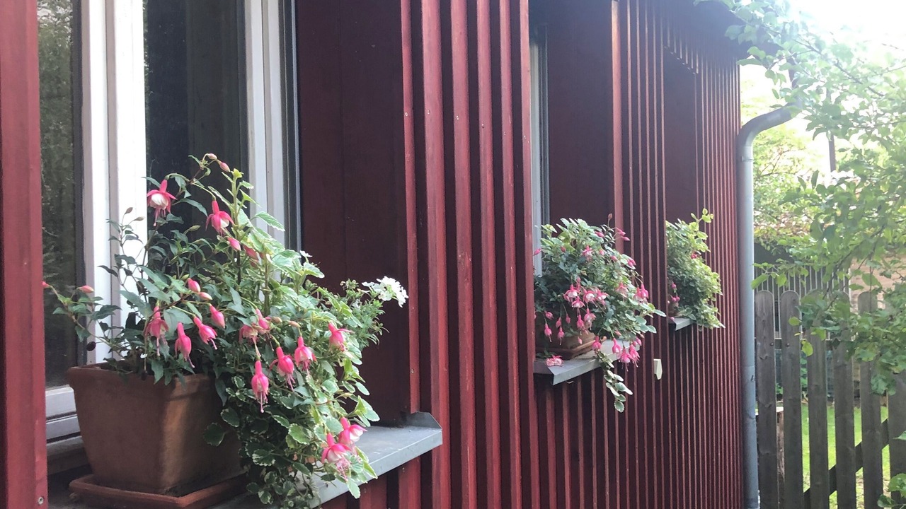 Photo of Outdoor in Schwaig bei Nuernberg